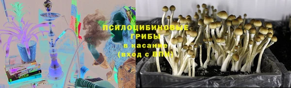 а пвп мука Вязьма