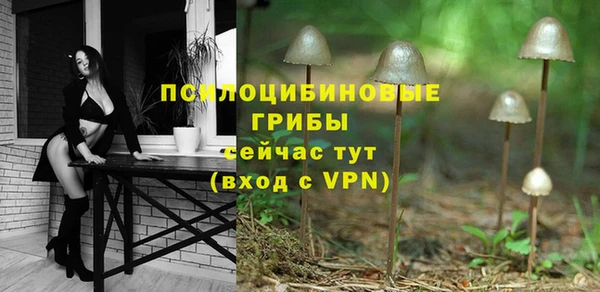 а пвп мука Вязьма