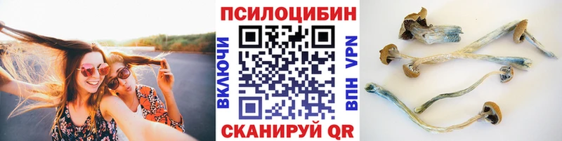 Галлюциногенные грибы GOLDEN TEACHER Купить Гусь-Хрустальный